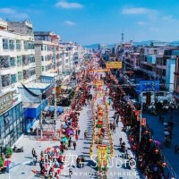 盛况空前｜第十一届中国·南阳郭氏文化节迎祖巡游活动隆重举行