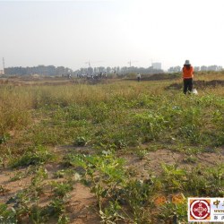 对西安凤栖原郭氏家族墓群的担忧！