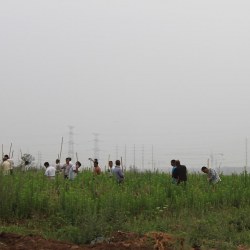 郭暧和升平公主合葬墓已被挖掘