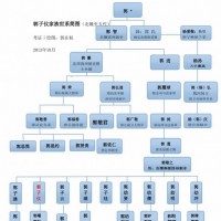 大唐汾阳王郭子仪家族世系图（北魏至唐末、五代 ）1.0版