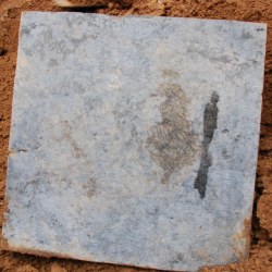 郭子仪长子郭曜和夫人合葬墓已被挖掘