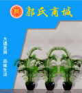 郭氏商城来了｜大道至简 品味生活—郭氏商城隆重上线！