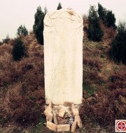 感谢：嵕南锈士---申远  老师