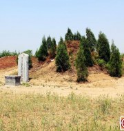 【心酸】瞻仰苏武墓园再次想到子仪公墓